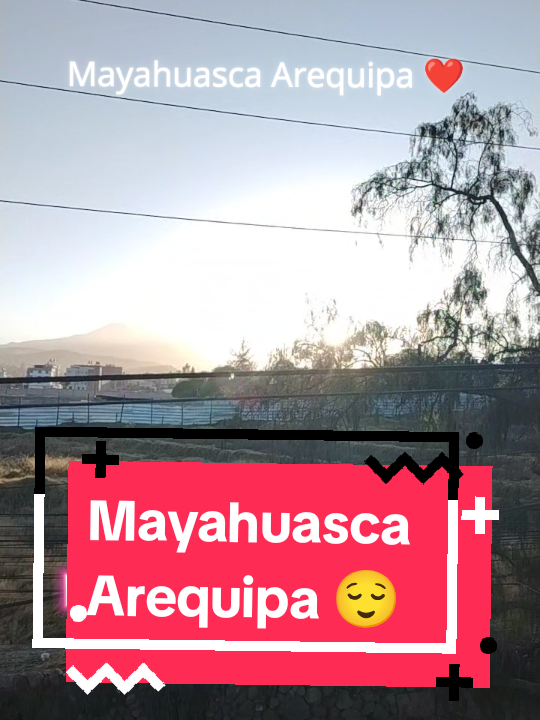 @Mayahuasca❤️