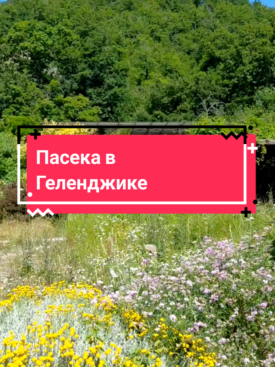 @Елена