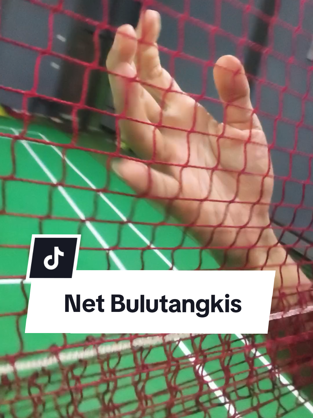 @Badminton Store33