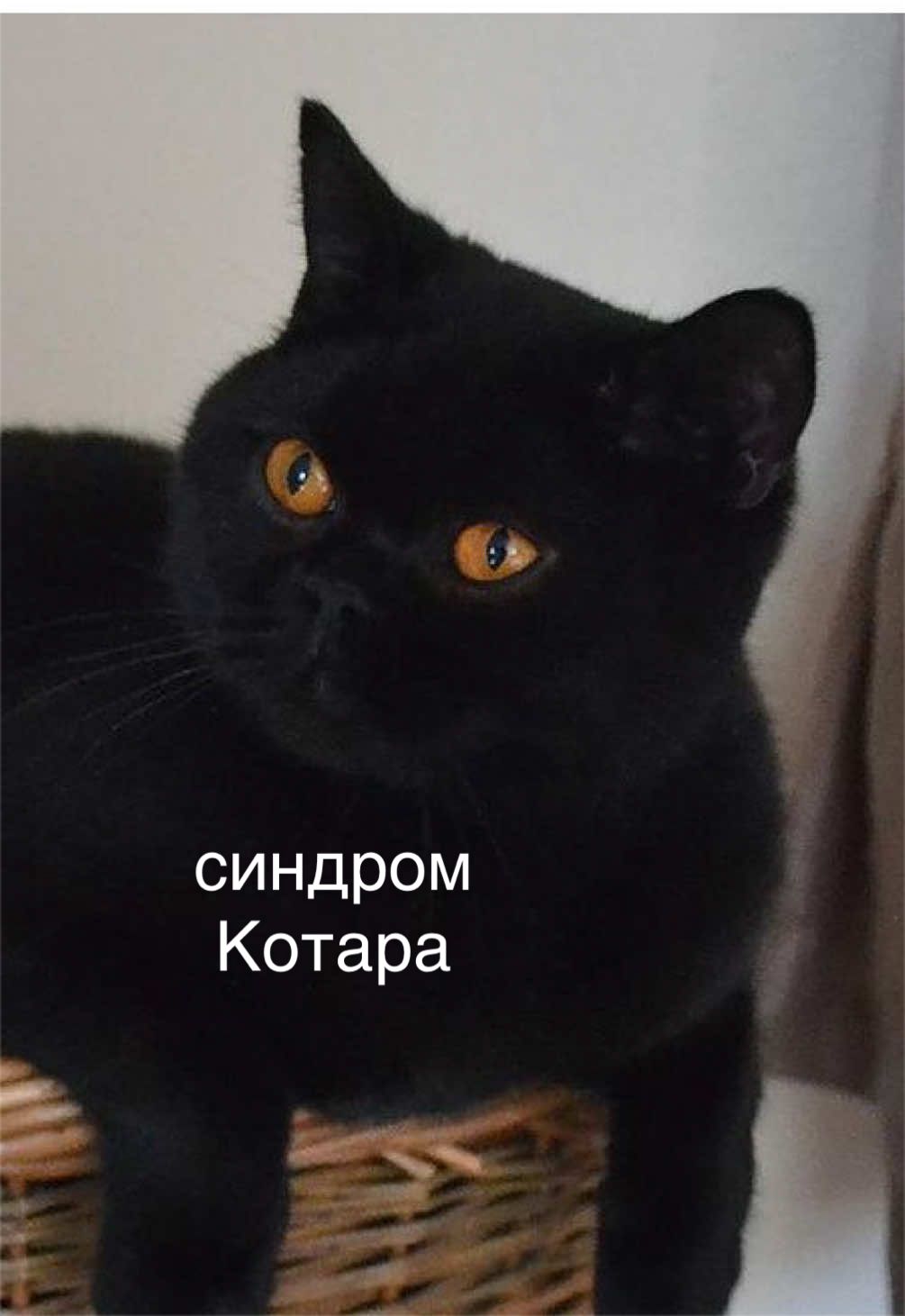 @мамин хep