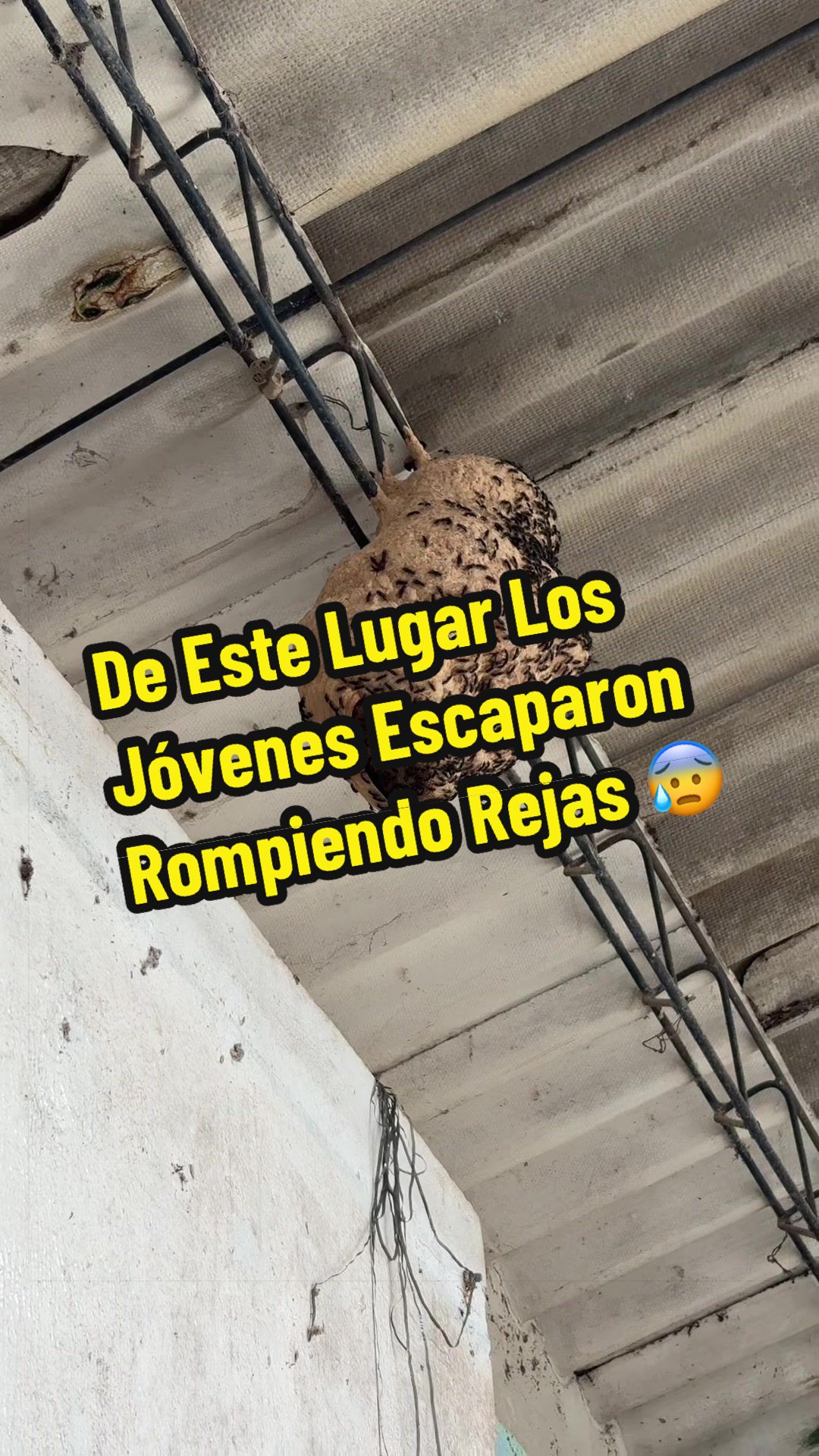 @JoseRamirezr1