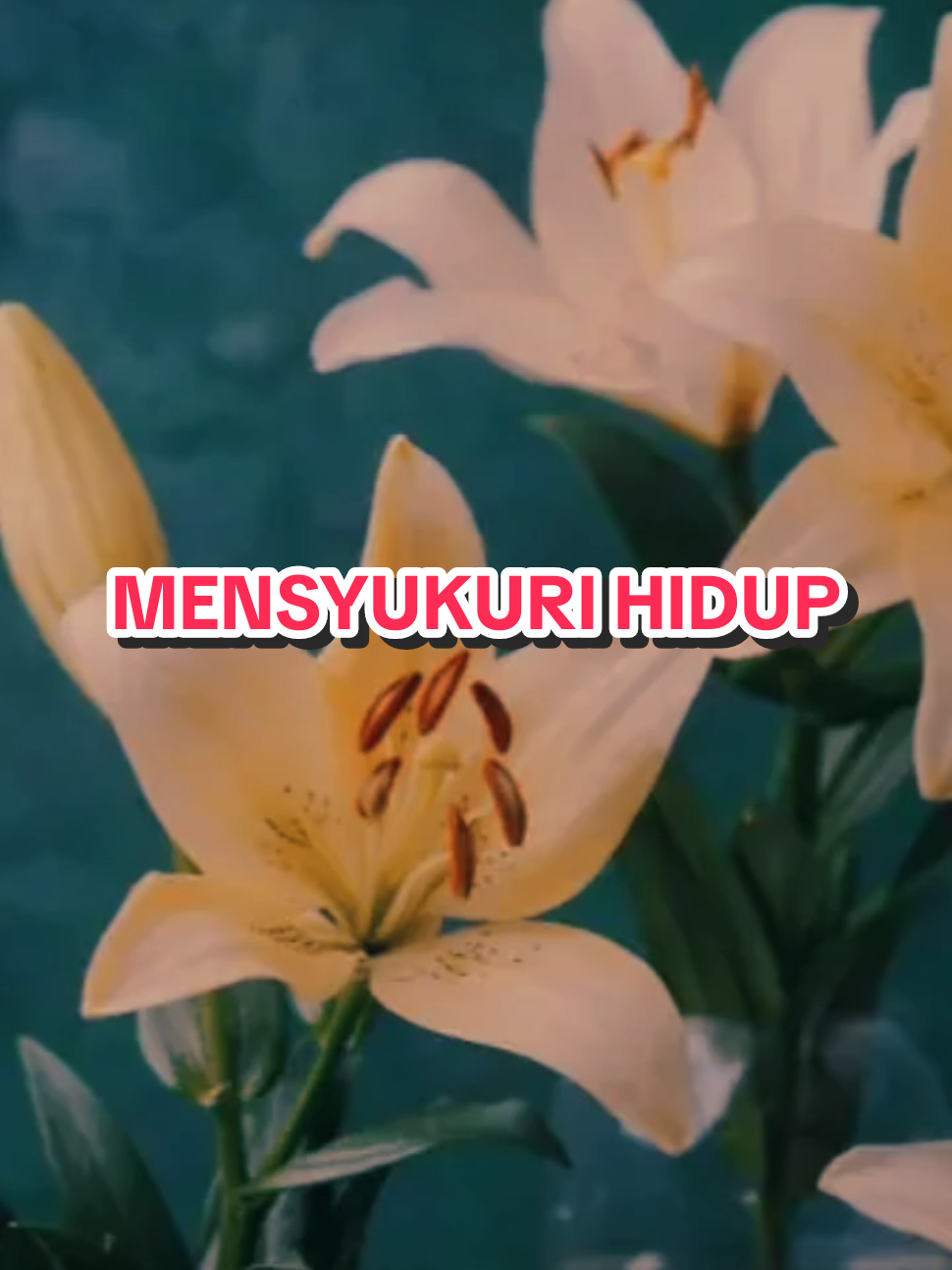 @mirazaidi