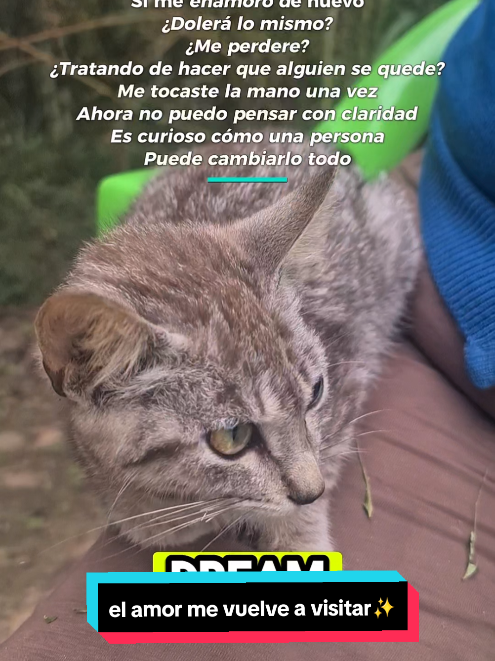 @Entretenimiento