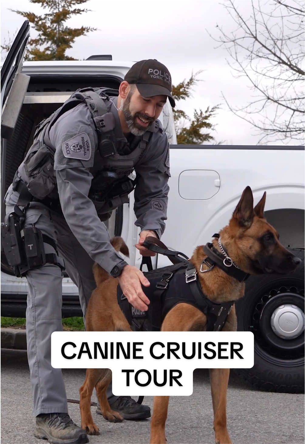 @York Regional Police