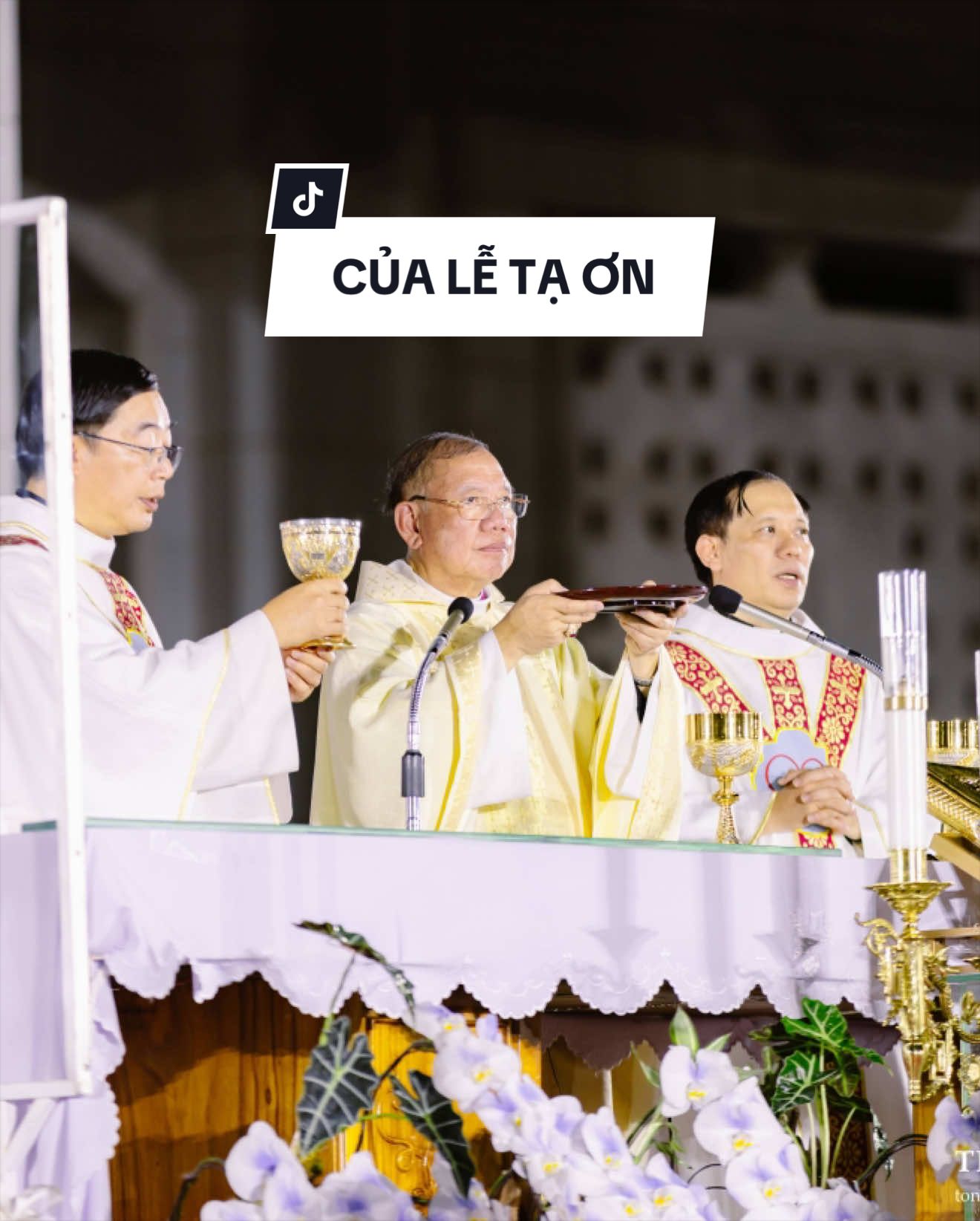 @Ca đoàn Maria Goretti