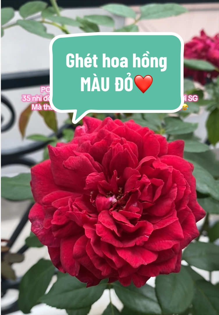 @Gia vị cuộc sống