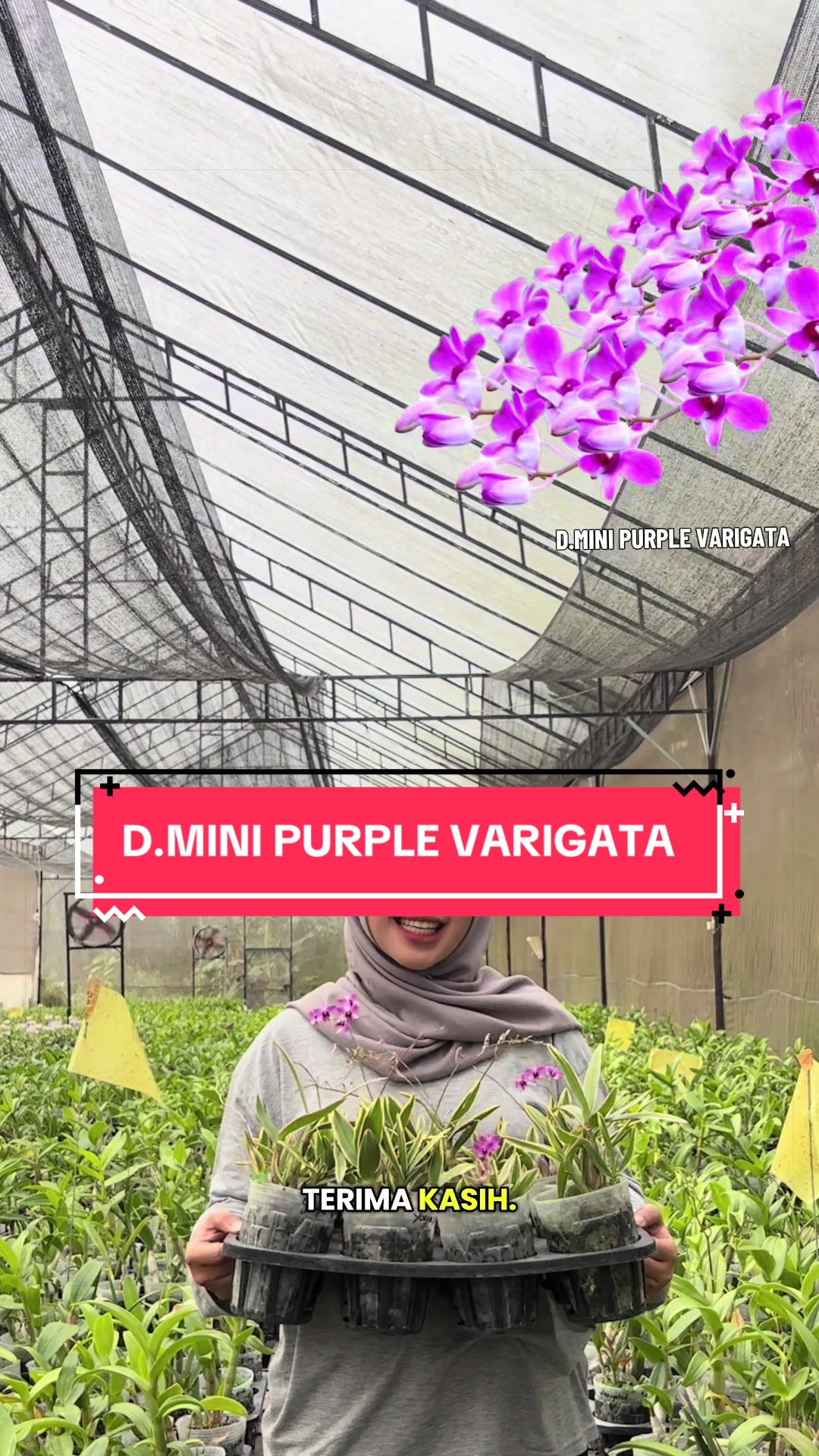 @Griya sekarindo utama