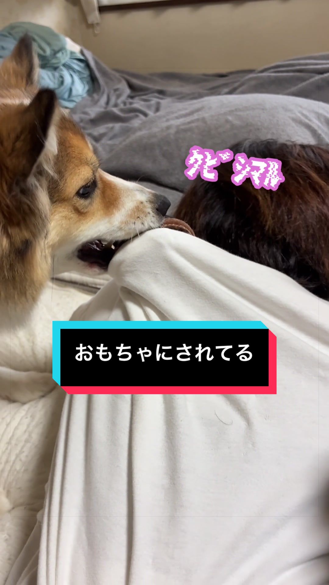 @サクサクビスケット