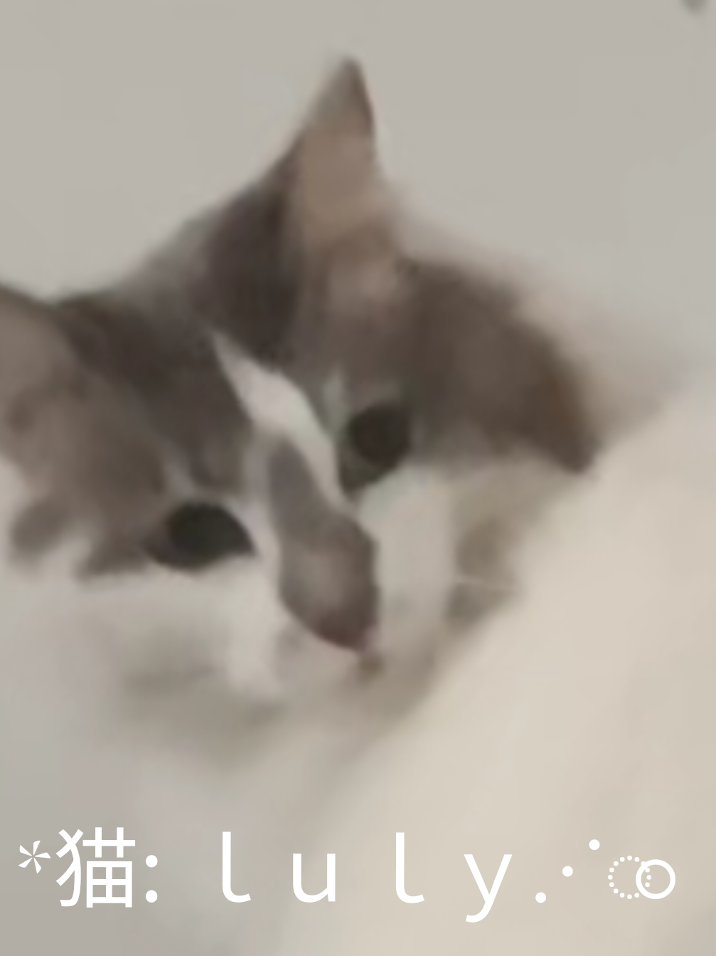@V6Y