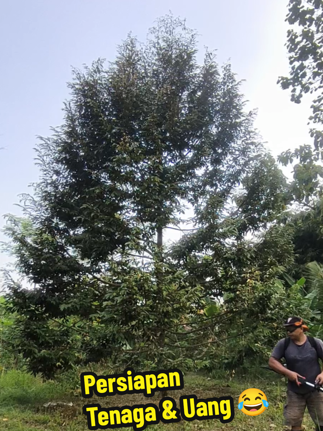 @Alas Durian Jepara