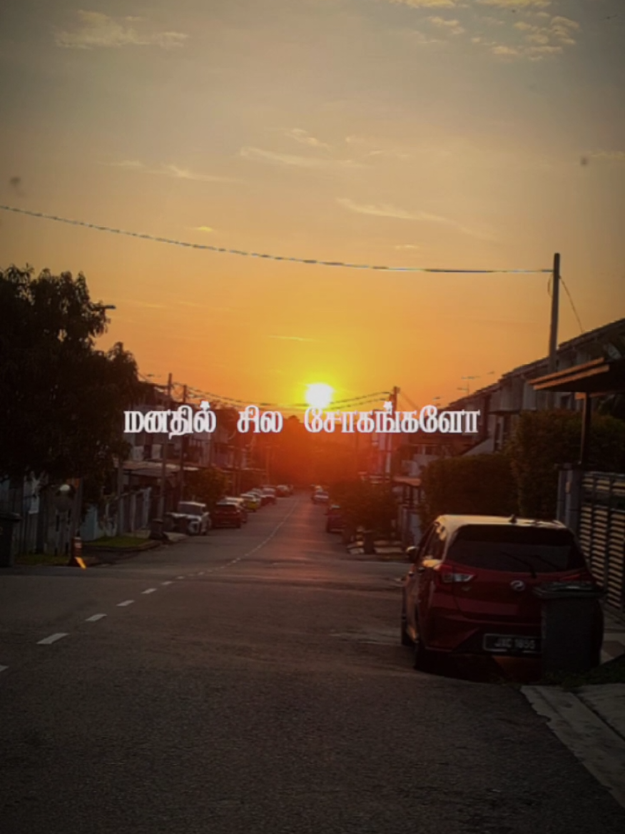 @❥︎𝓢𝓲𝓵𝓪𝓟𝓮𝓻𝓾𝓶𝓪𝓵
