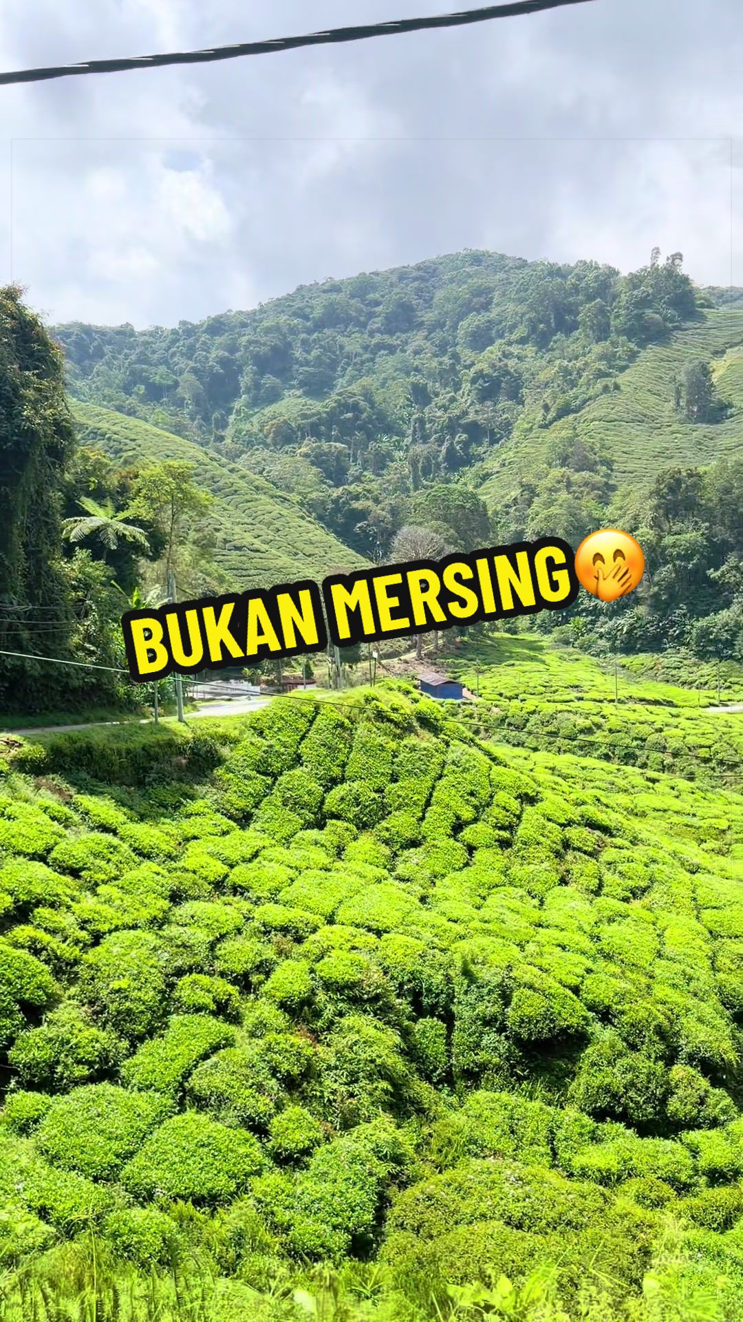 @CikSuee_LDVM