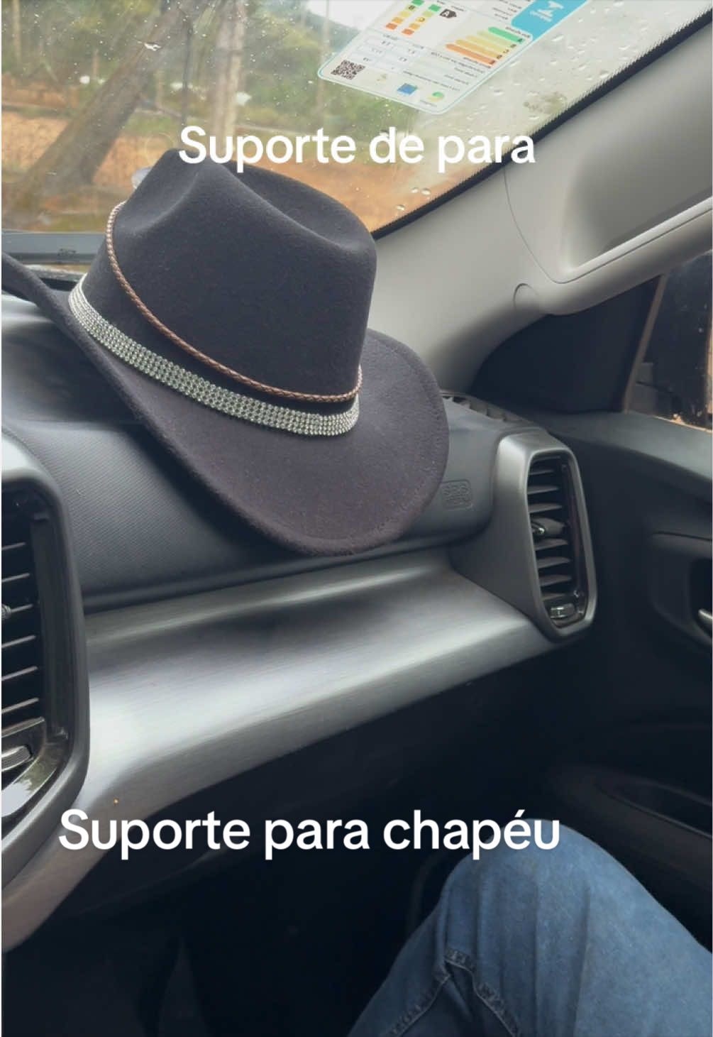 @Silvana Franco /vida na roça