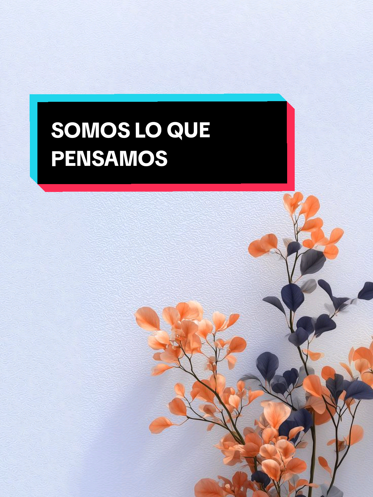@Lulita_manifestacion🪐✅️
