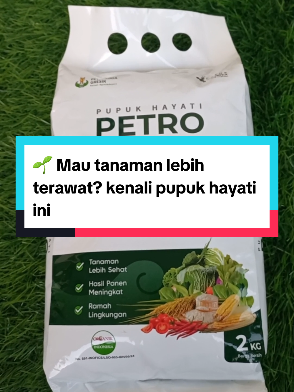 @Nuansatani TV