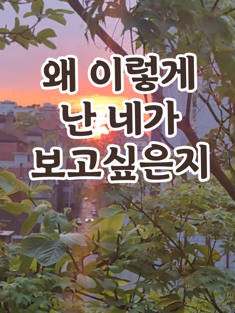 @송화찌