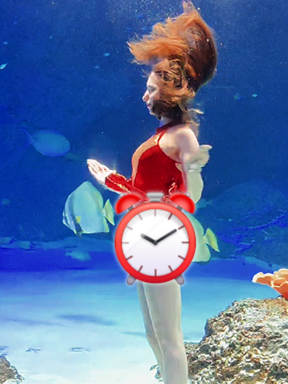 @아나스타샤 🪼 the mermaid
