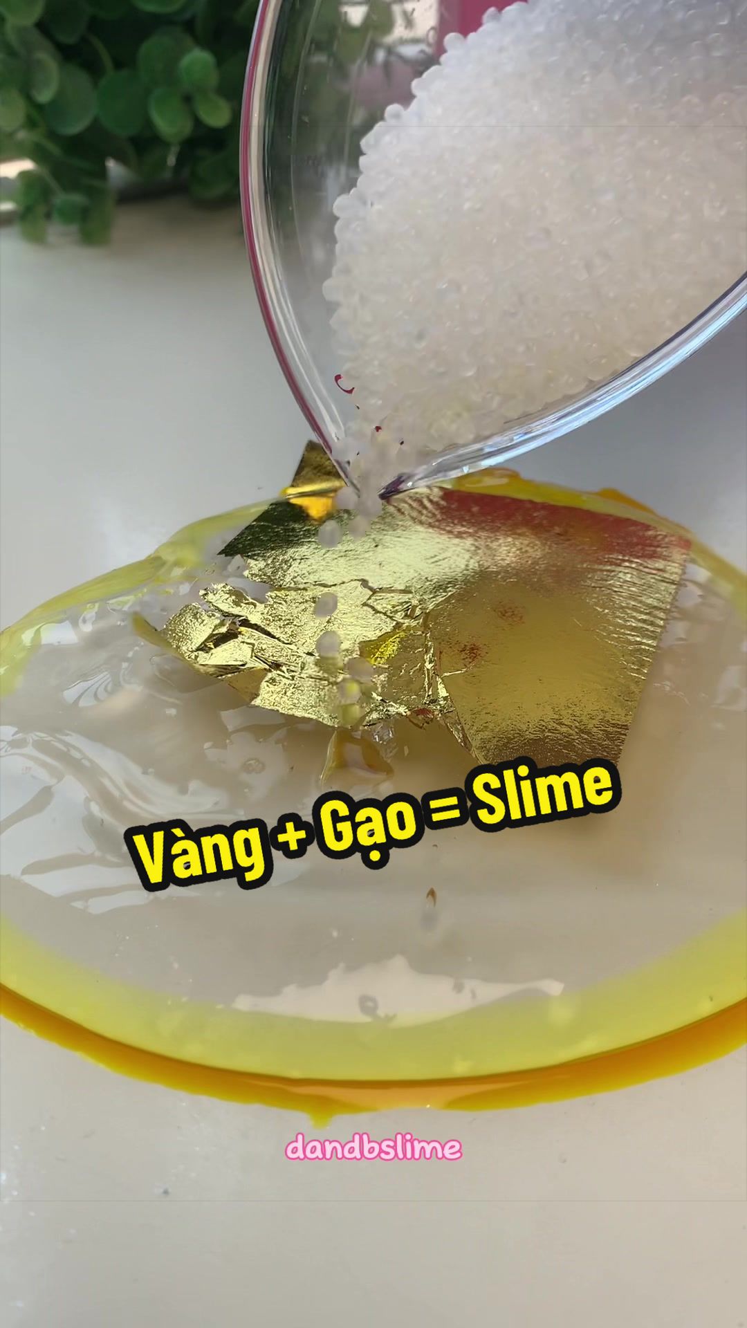 @DandB Slime Shop