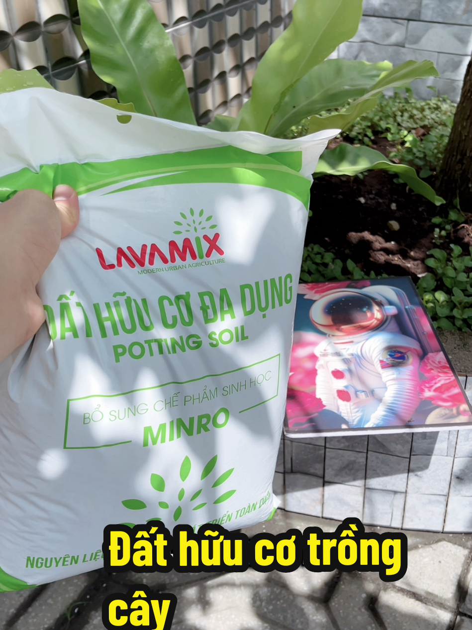 @Nàng Gốm Shop ✅