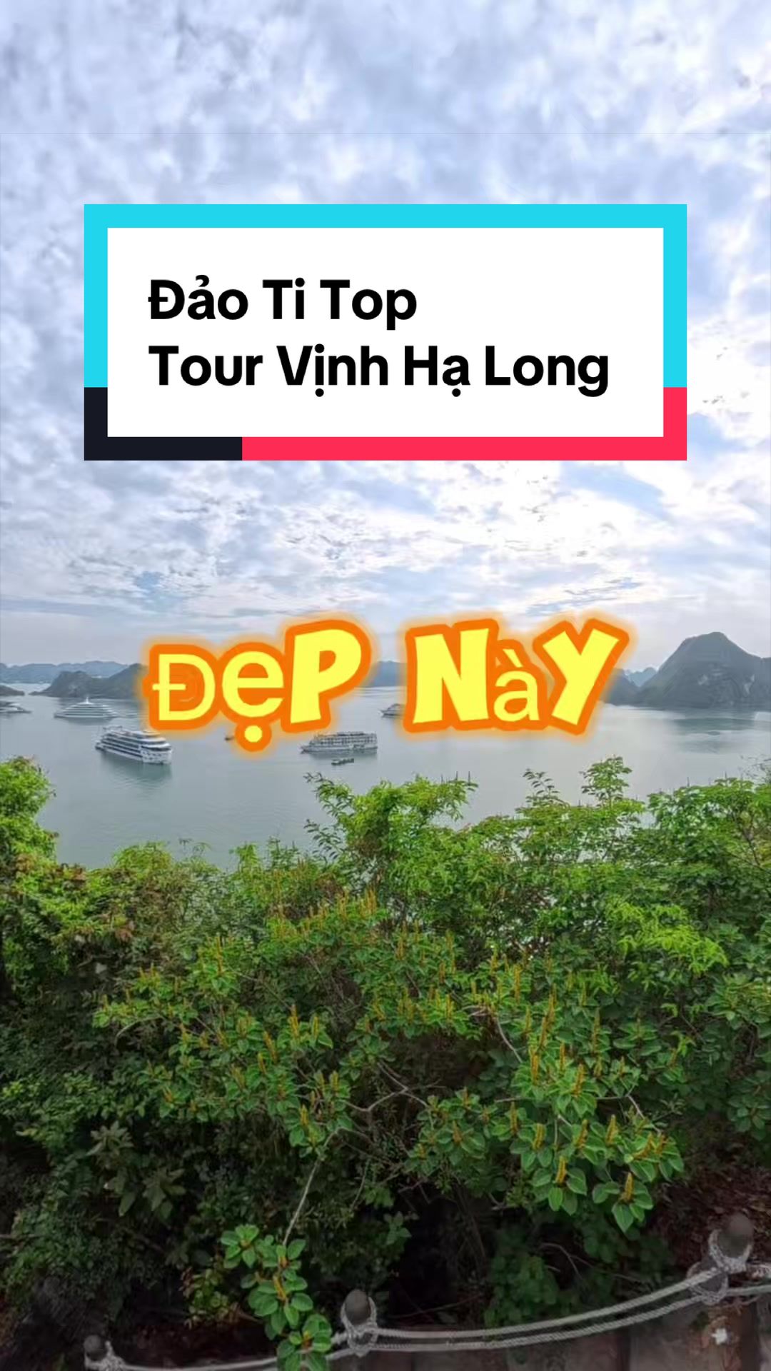 @AndyTrần có cái SPA 🏝️ 🤓 ☘️