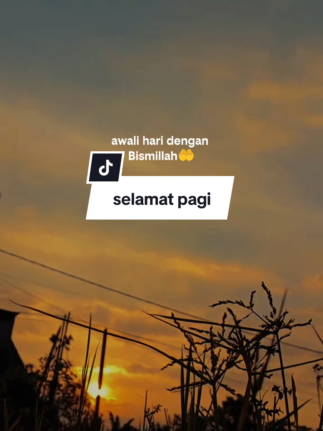 @SHY