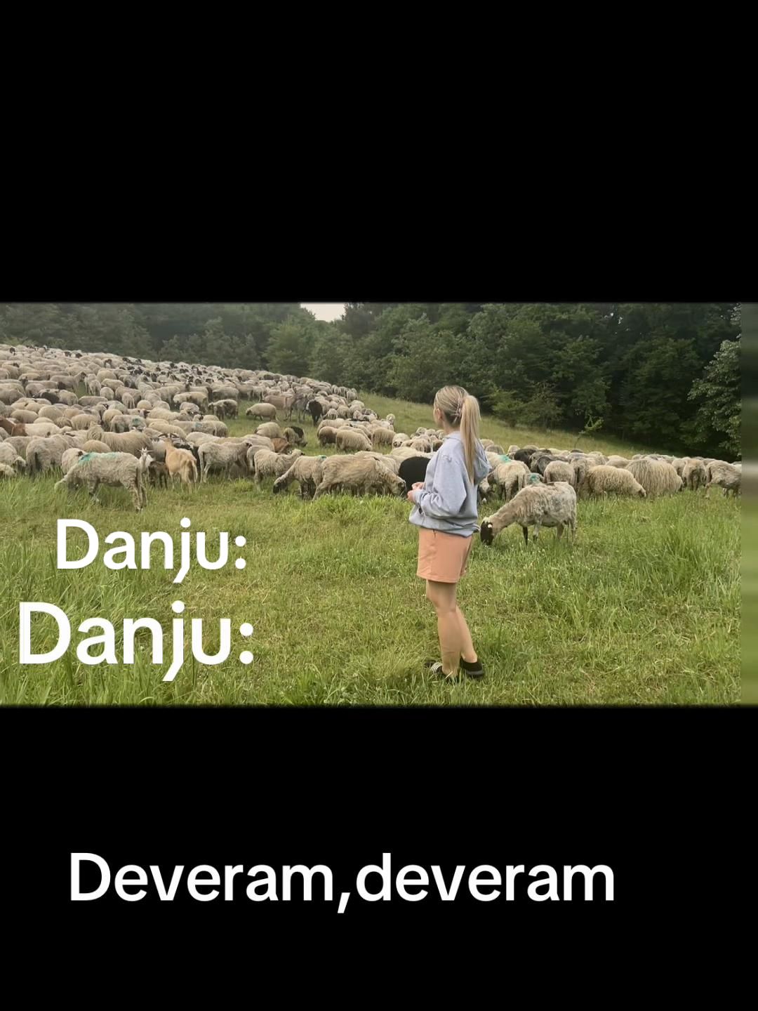 @Ilhana Novkinic