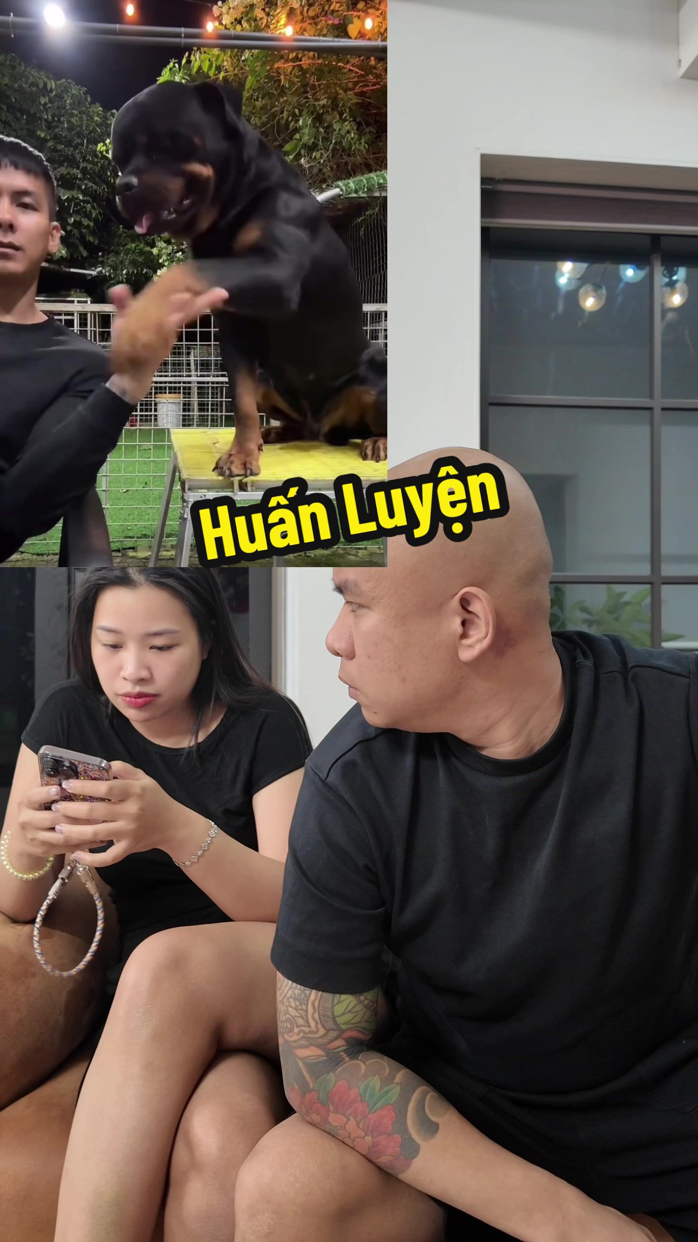 @Lưu Việt