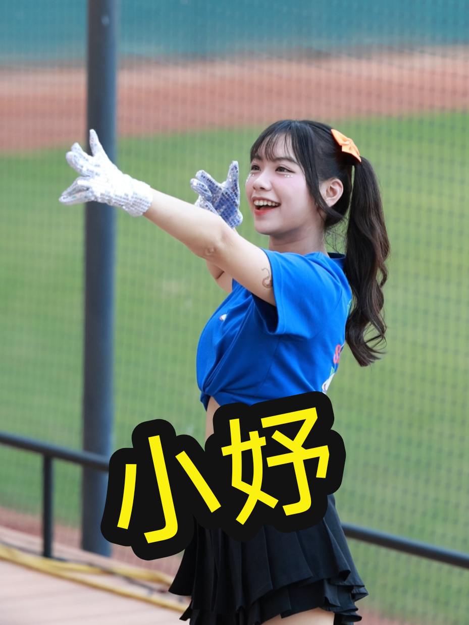 @海豚于翔