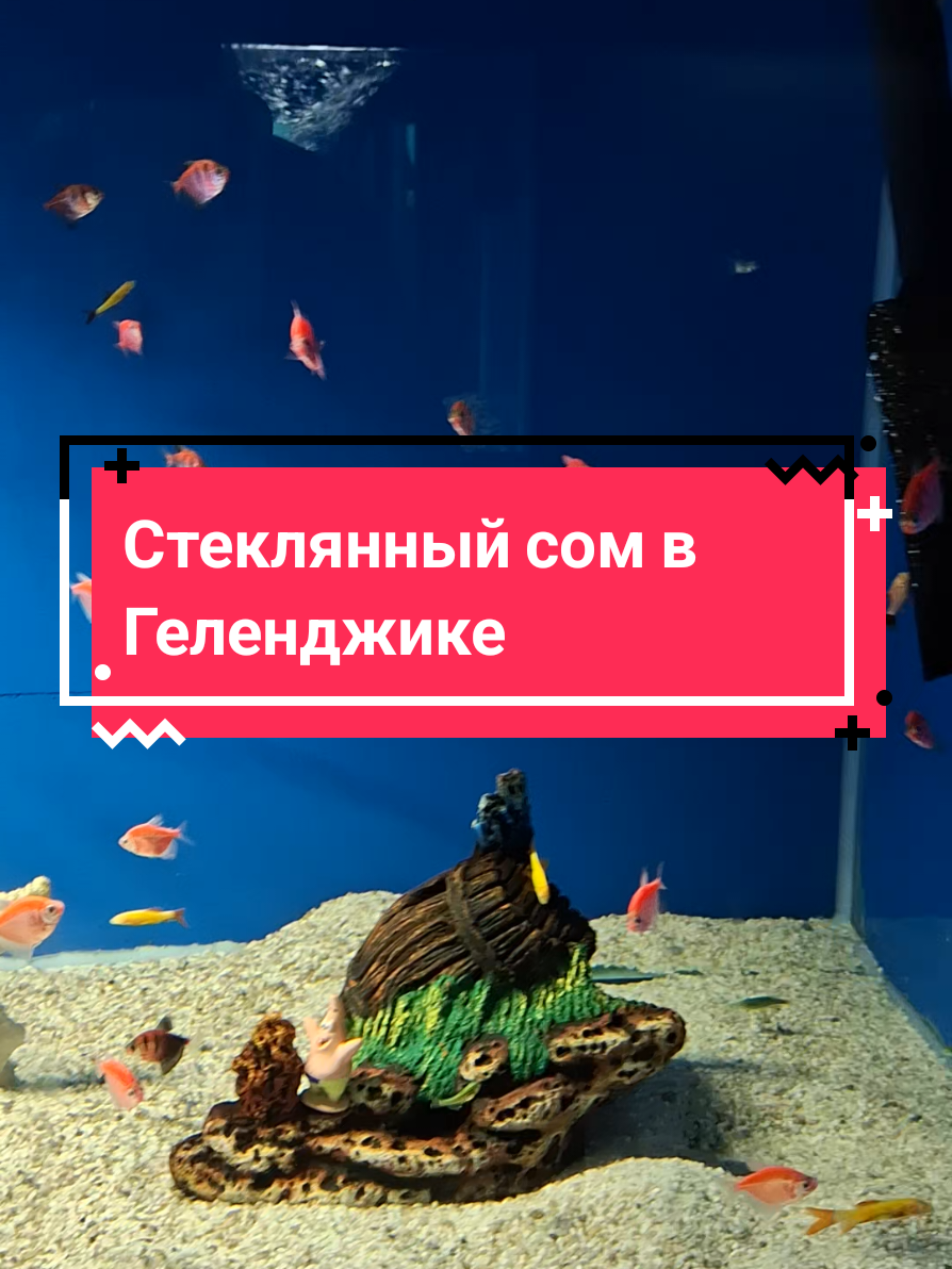 @Елена