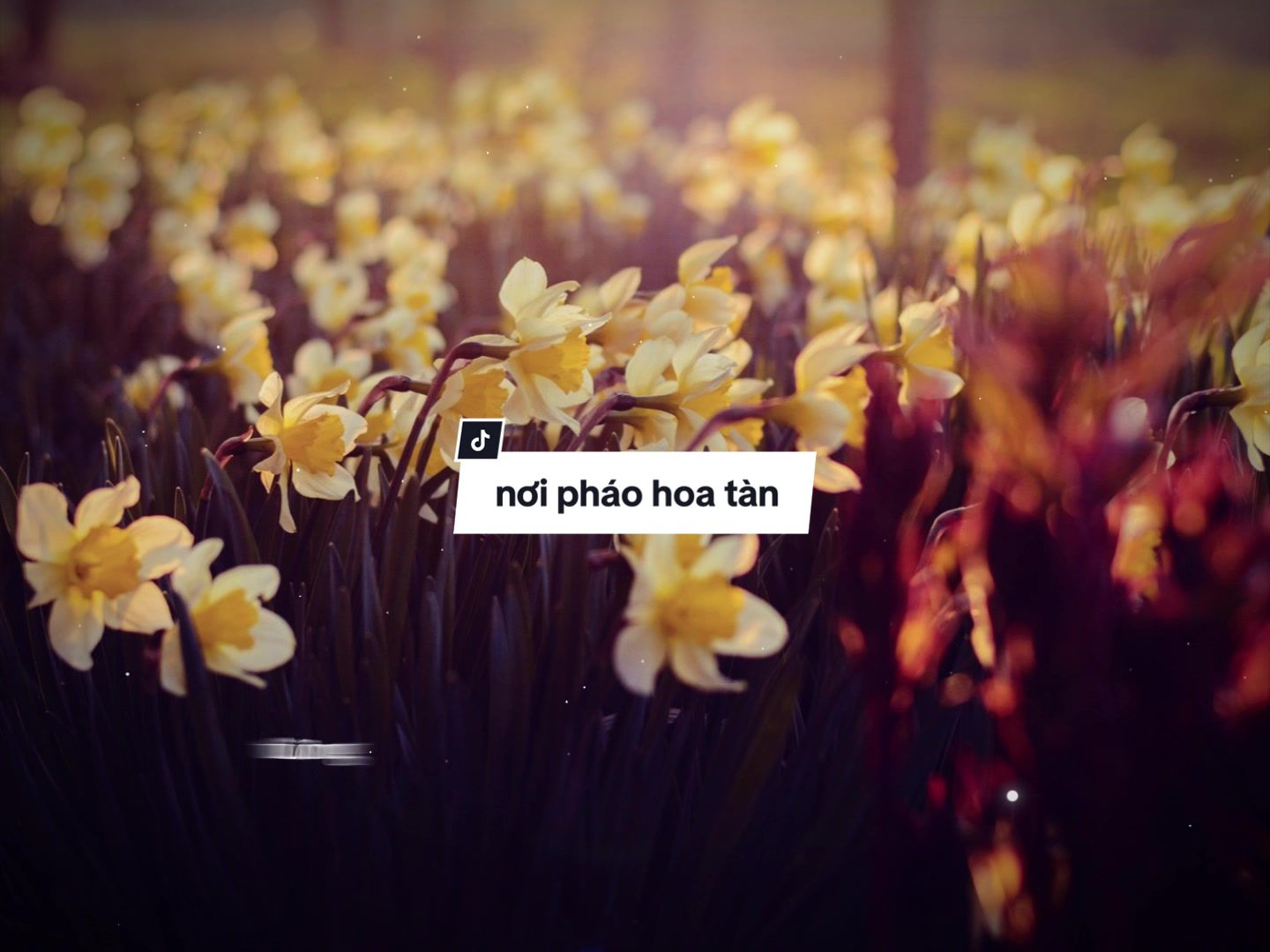 @Có giấy khen nghiện capcut