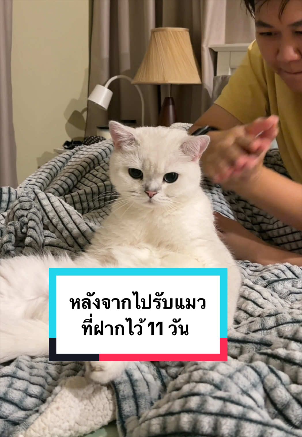 @คิมบับครับผม