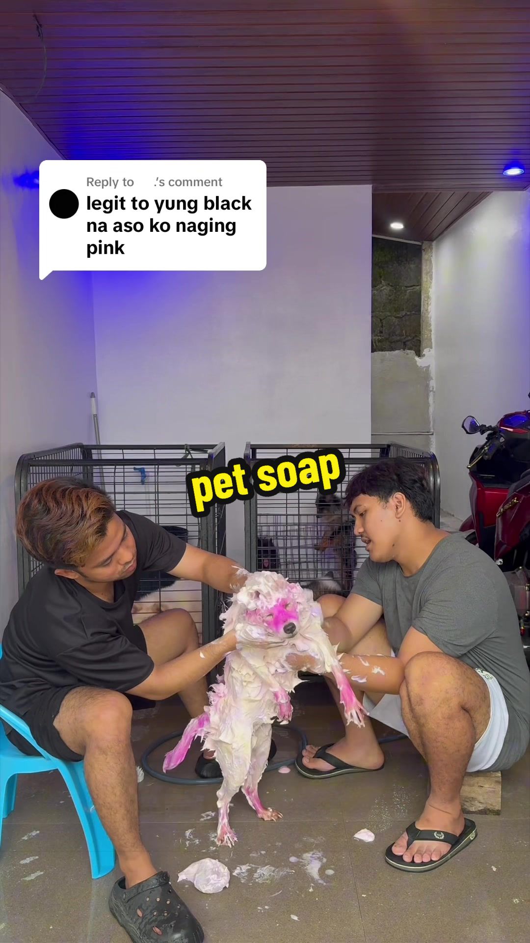 @Jhonroniel Cao