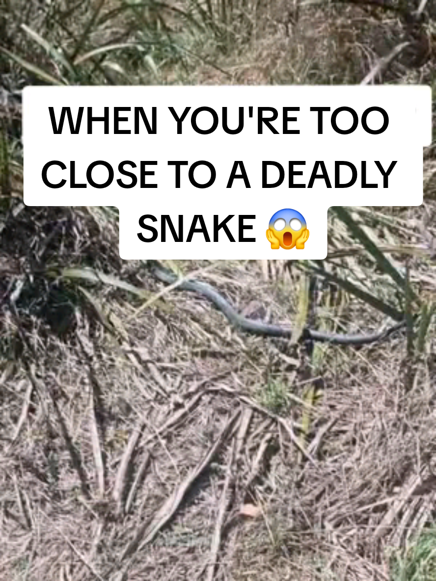 @wetravelslow