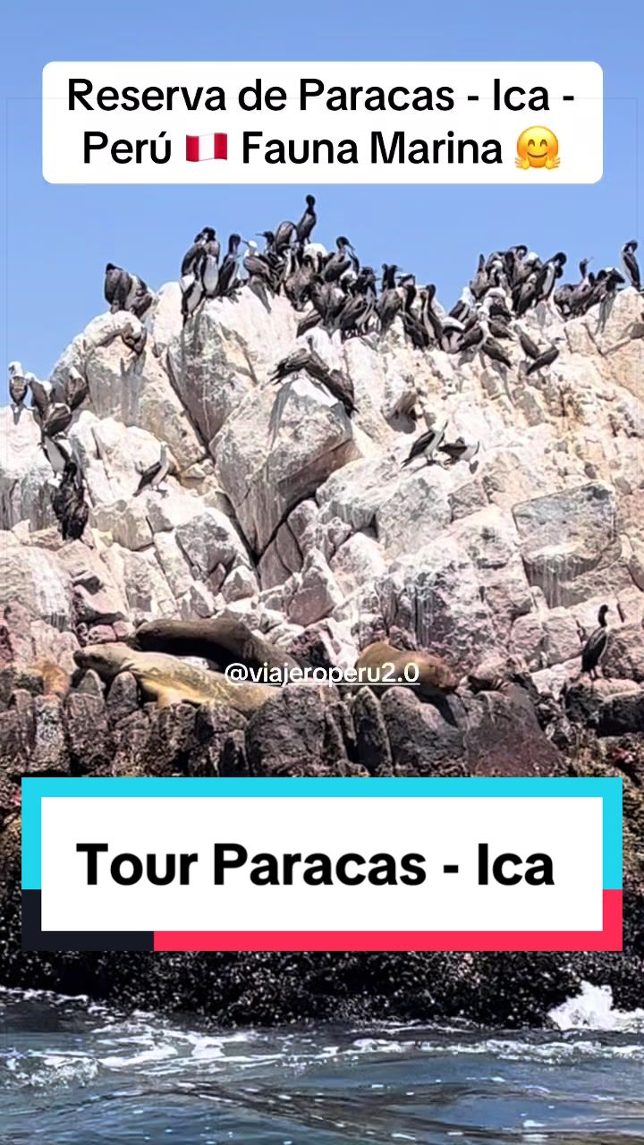 @😃VIAJERO PERÚ 🇵🇪