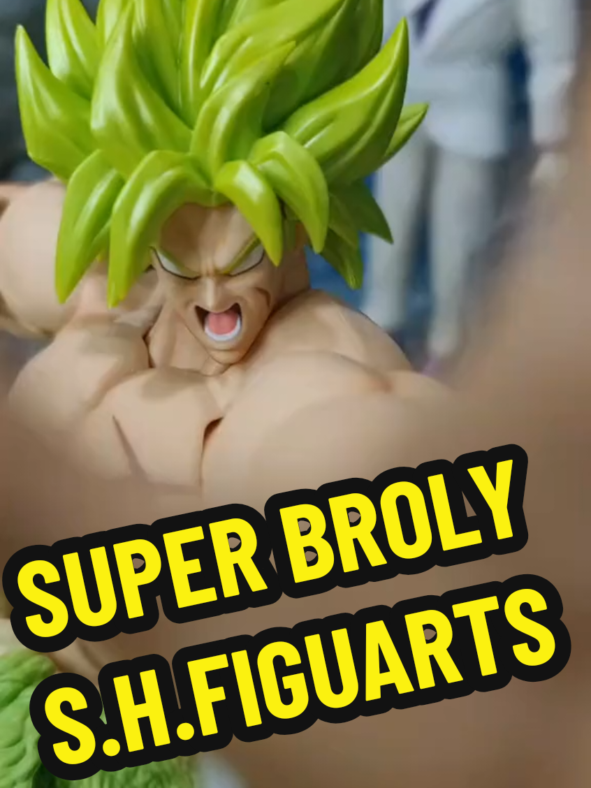 @DardoCollector