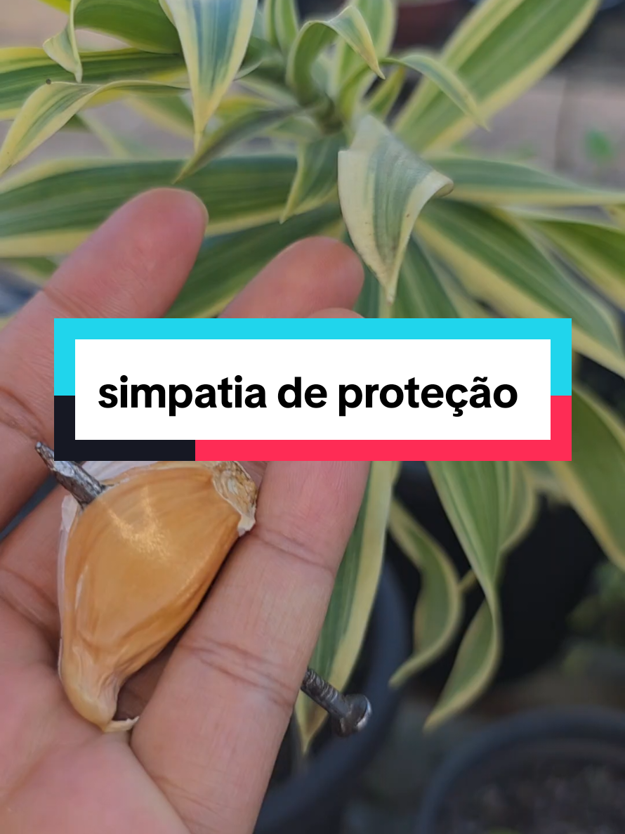 @Dicas e Receitas Naturais