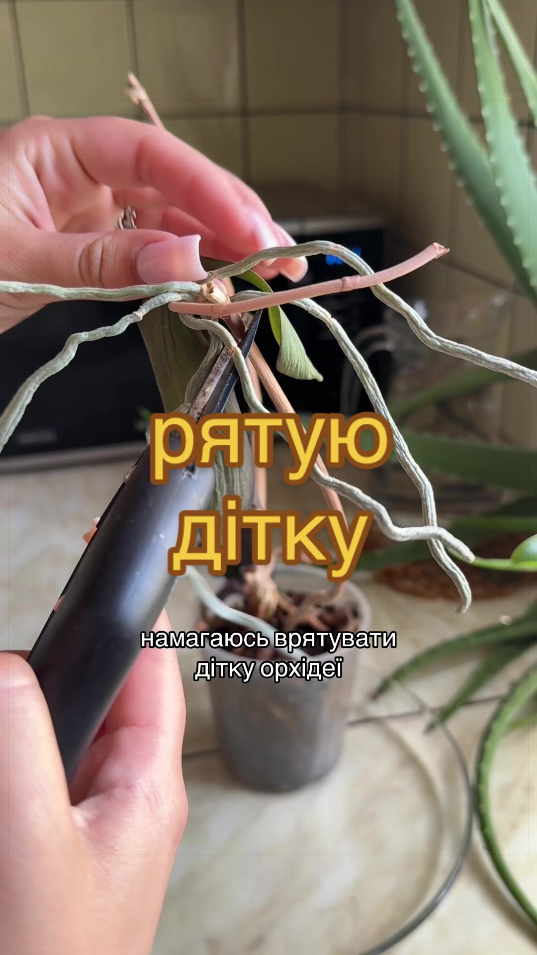 @🧚леся🧚