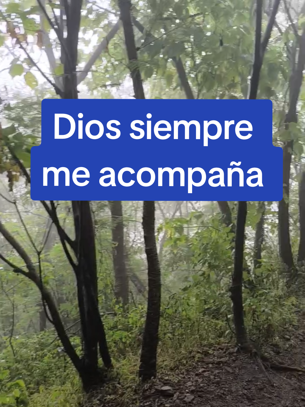 @RAÚL FL💙
