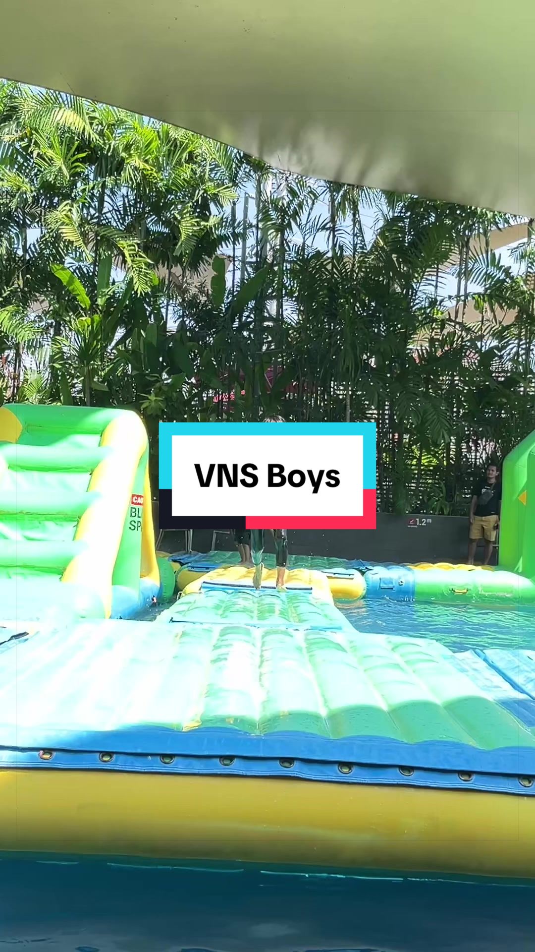 @VNS Kingdom