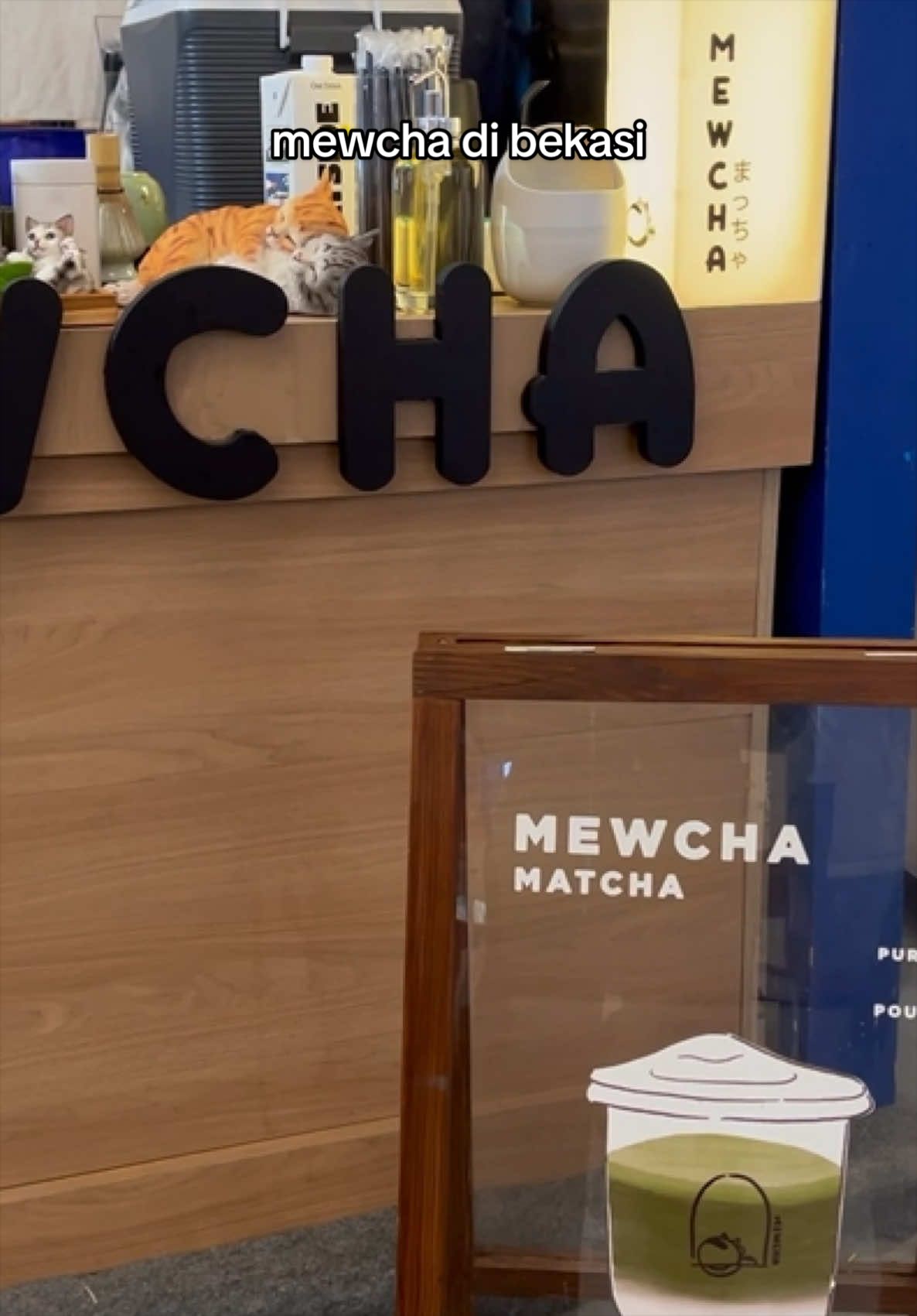 @Mewcha Matcha House