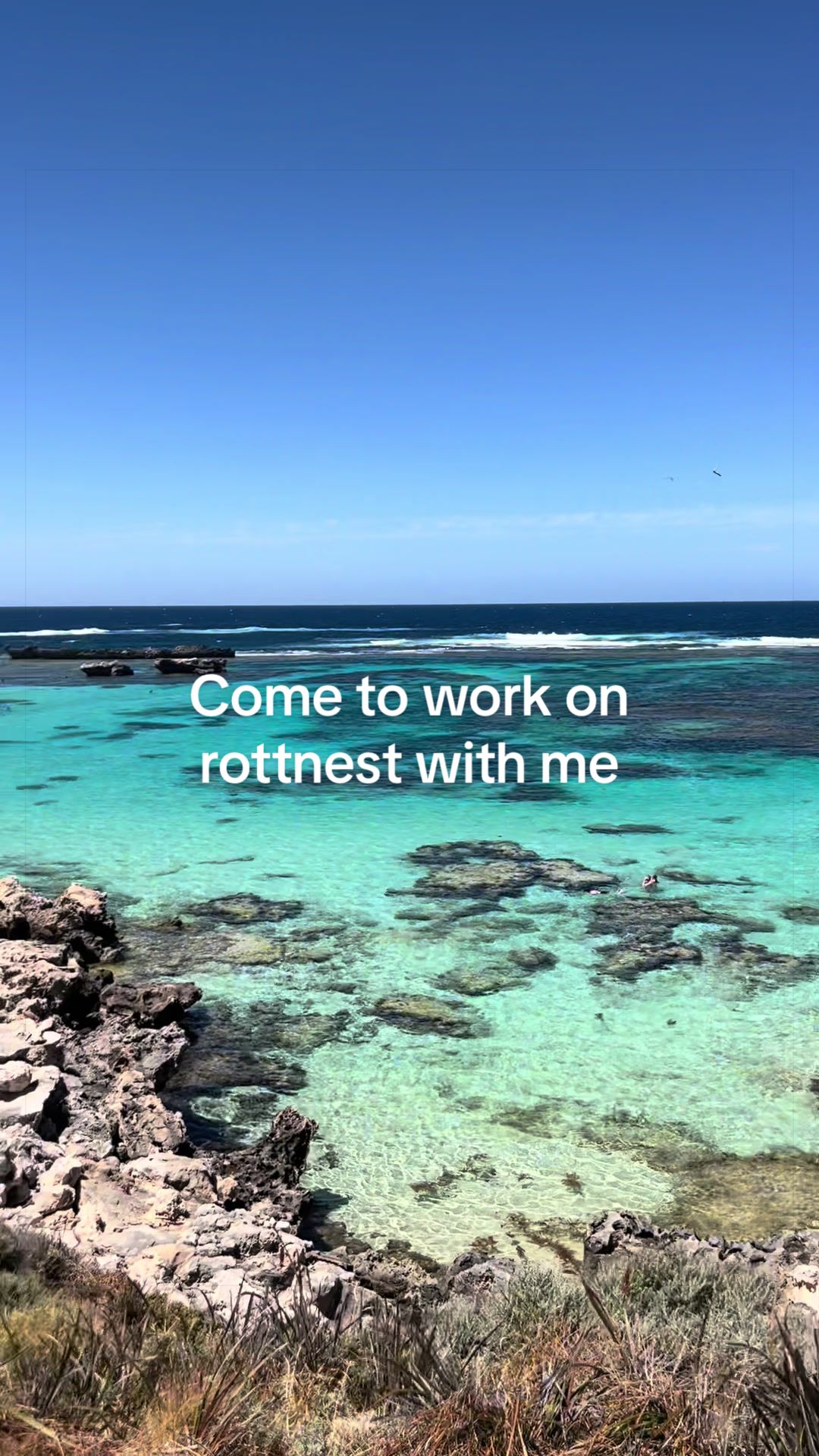 @Jess Pyne | trini in australia