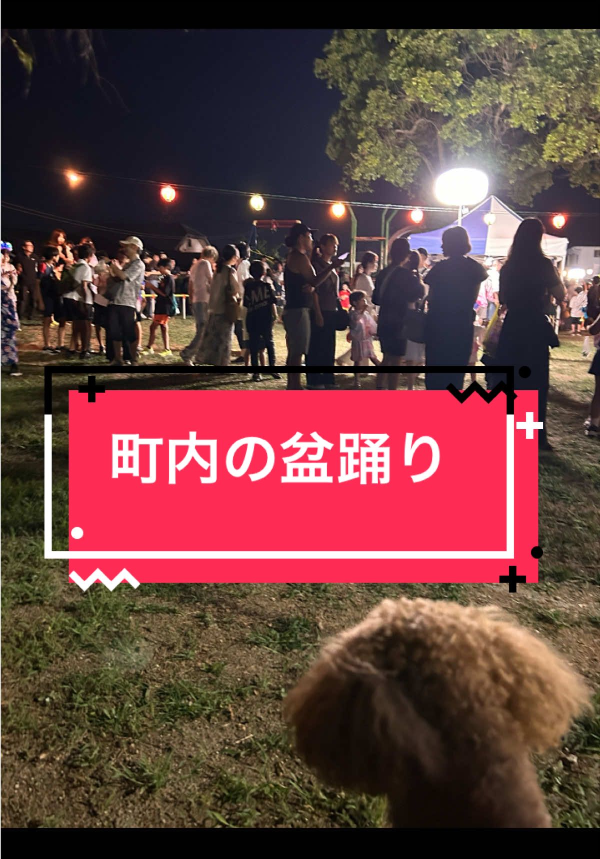 @カンキツ