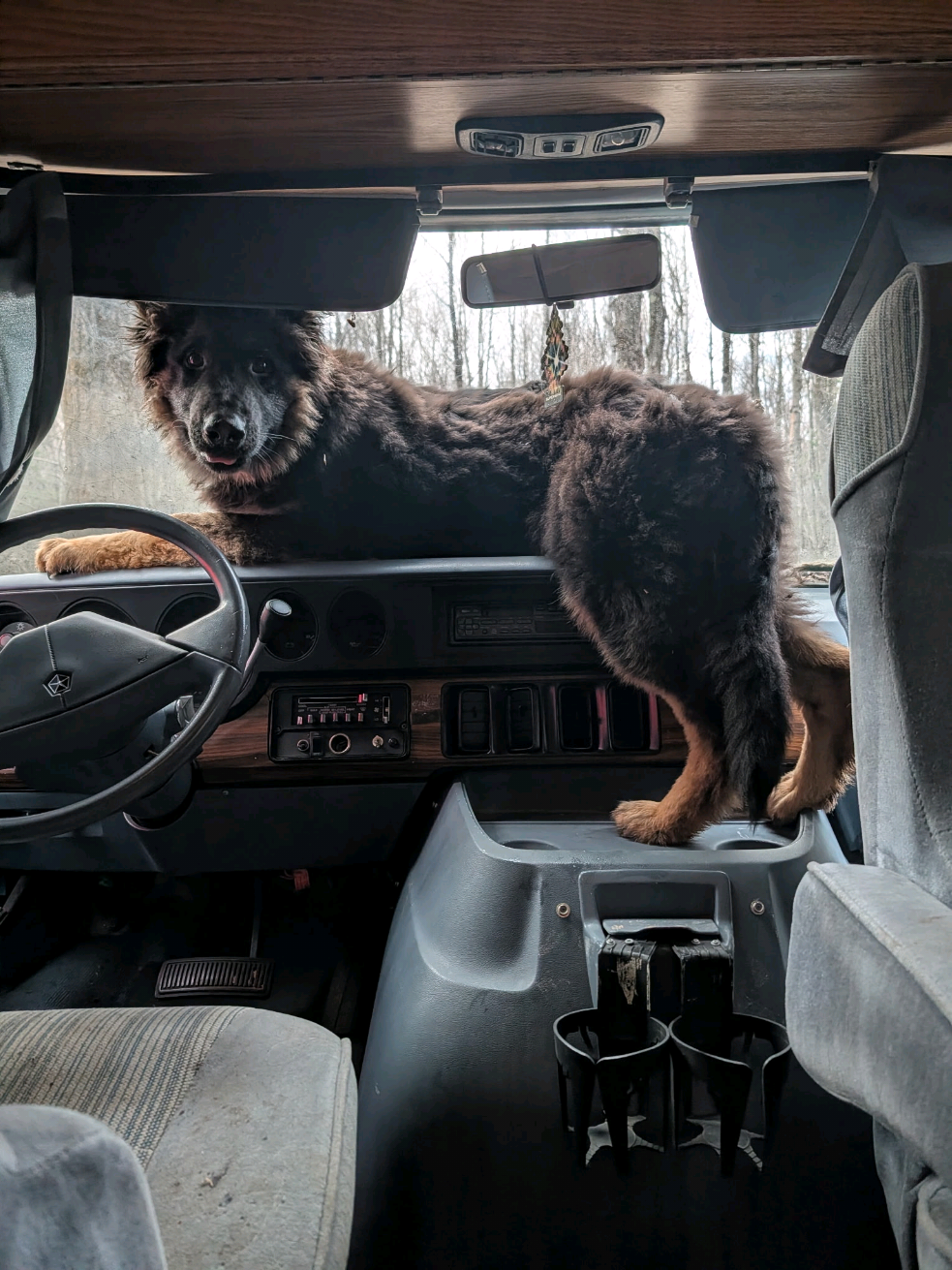@TrailCam Qu&eacute;bec