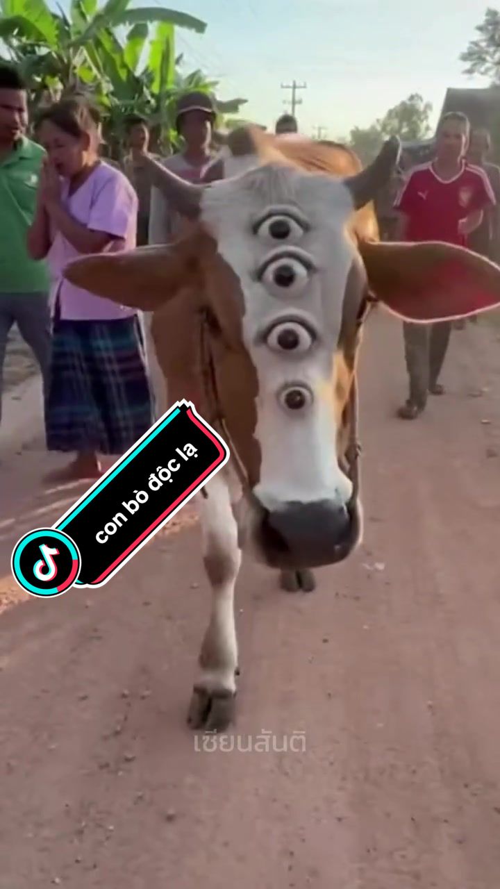 @Đ&Agrave;I C&Ocirc;NG TỬ MH