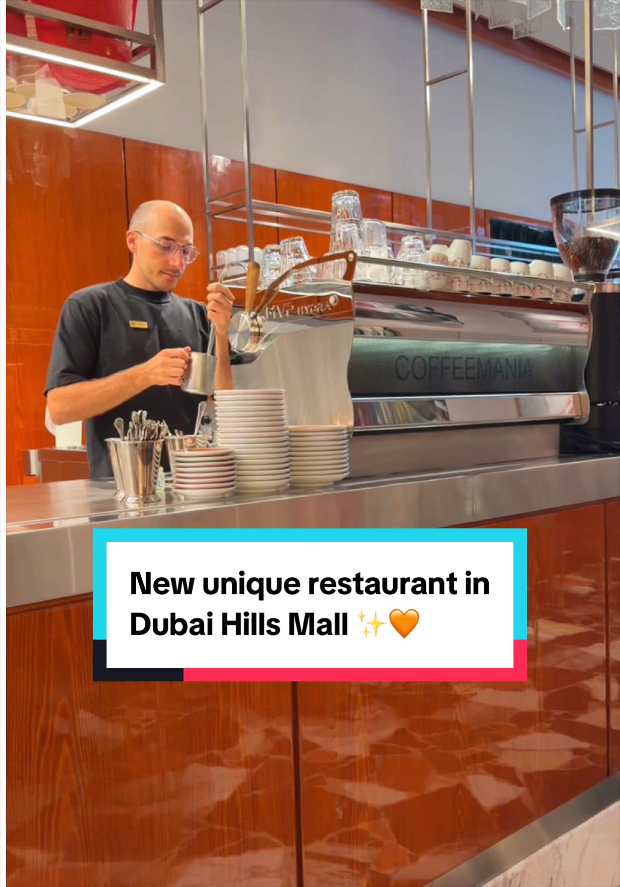 @thedubailist