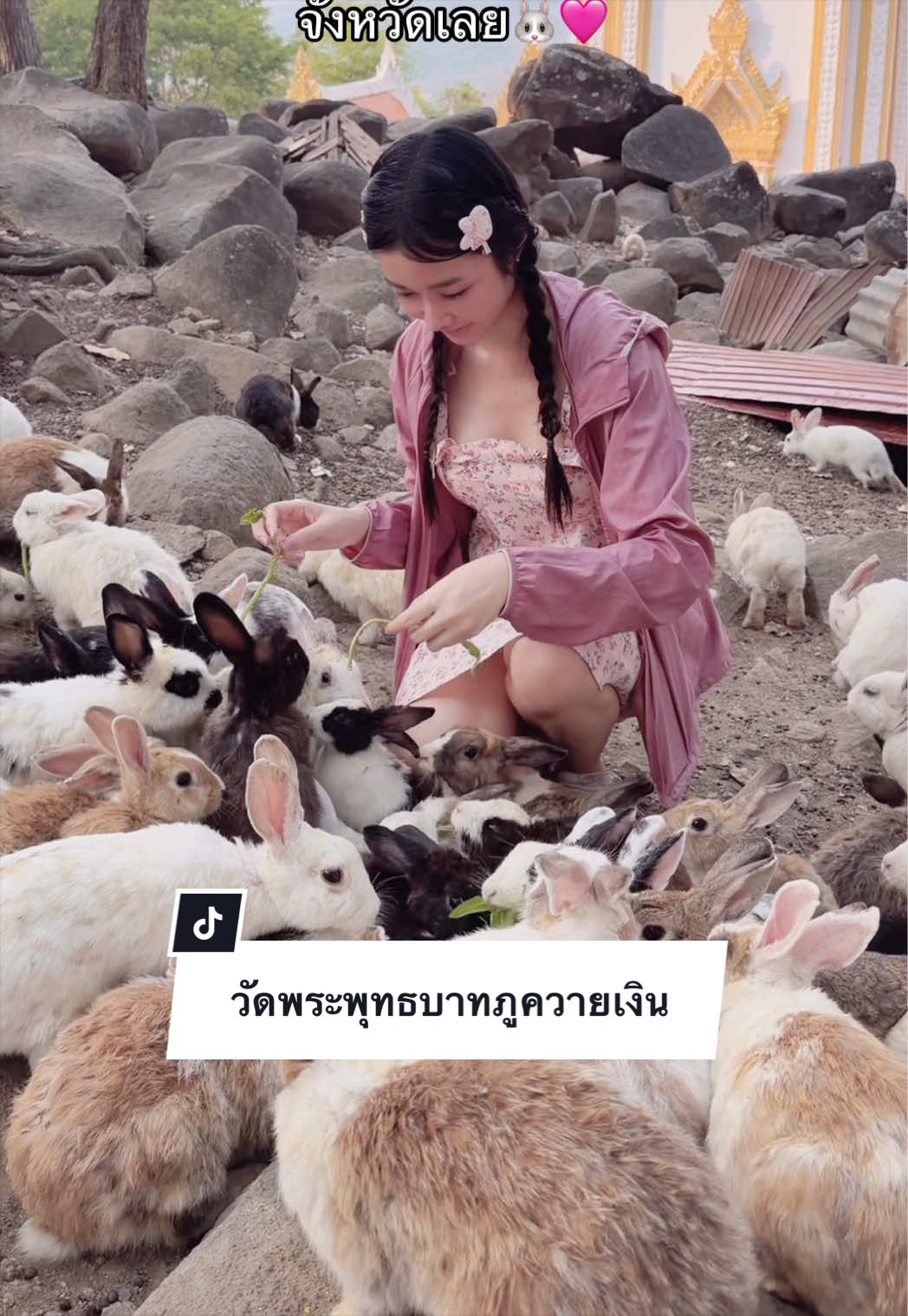 @เอมี่จัง🐱✨