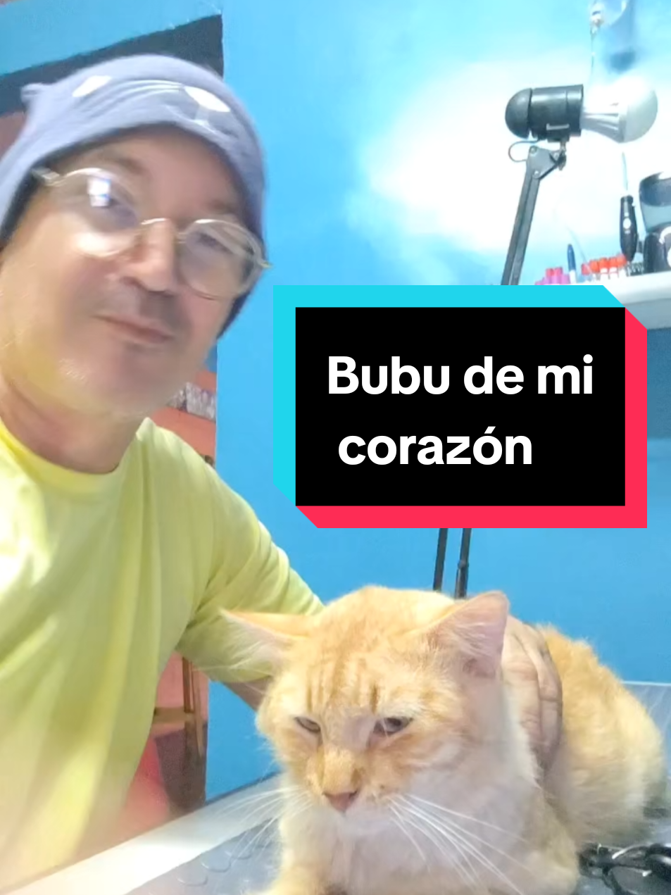@Patitas y Garritas en la Calle