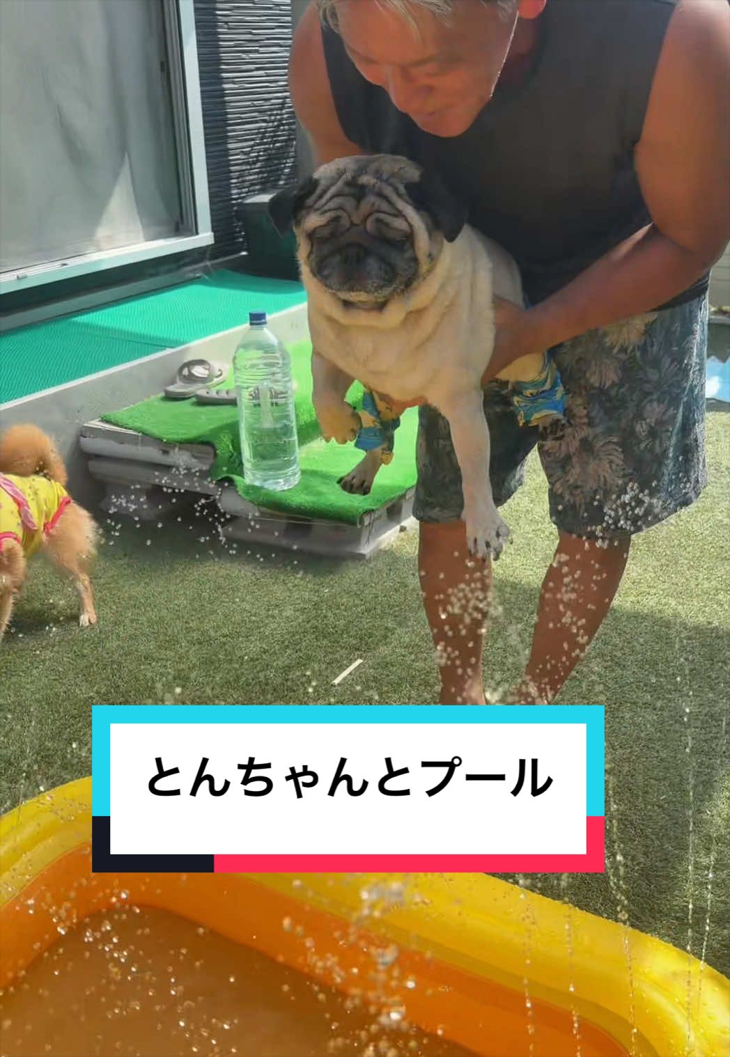 @🐶とん&ぺっぺこぺー🦊