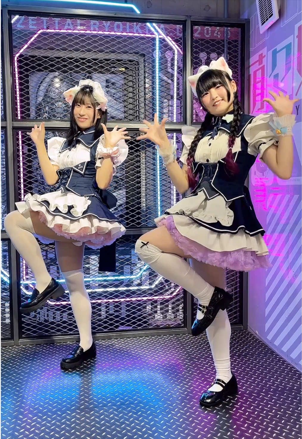 @メイドカフェ アキバ絶対領域