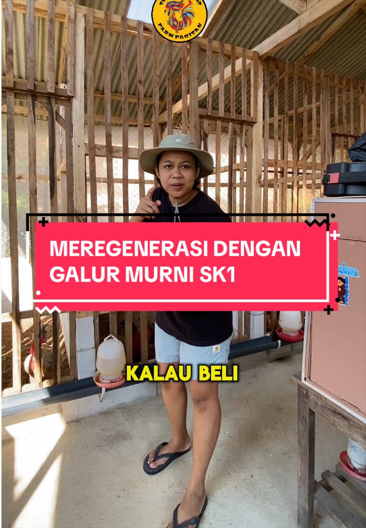 @TernakHebat